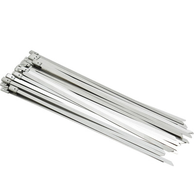 瑾如云海 不锈钢扎带 7.9*350mm 包