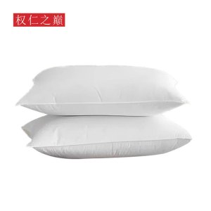 权仁之巅 枕芯 48*74cm 个
