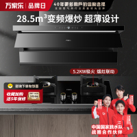 万家乐 抽油烟机 烟灶套装 28.5立方大风量挥手智控纳米暴风洗油烟机灶具套装K9R2+AY9天然气