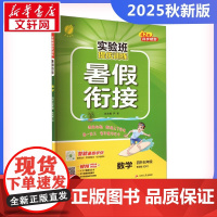 实验班提优训练暑假衔接 数学 四升五年级 青岛版(QD) 严军 编 小学教辅文教 正版图书籍 江苏人民出版社