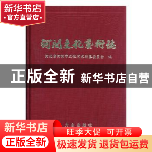 正版 河间文化艺术志 郝双良主编 方志出版社 9787801920997 书籍