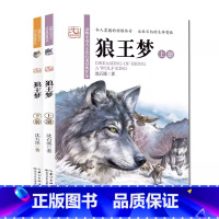 [全2册]狼王梦 [正版]狼王梦沈石溪动物小说画本 小学生三四五六年级课外书8-12岁小学生阅读课外书籍经典书目儿童文学