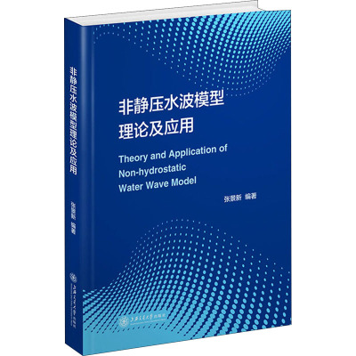 非静压水波模型理论及应用