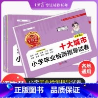 语文数学英语3本套装 小学通用 [正版]小升初城市卷王朝霞十大城市小学毕业检测指导卷真题小学升初中招生考试语文数学英语六