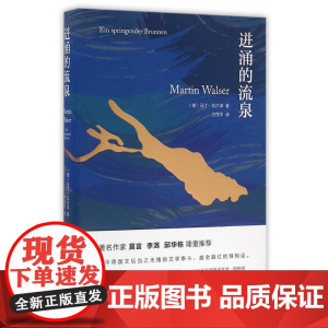迸涌的流泉