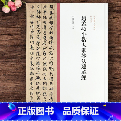 [正版]赵孟頫小楷大乘妙法莲华经 赵孟俯字帖 中国历代经典碑帖 楷书系列 书法字帖碑帖 楷书书法赏析书籍 河南美术出版