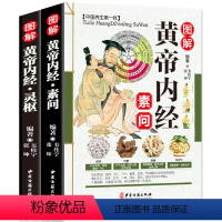 [正版] 全彩图解黄帝内经素问+灵枢2册中医经典作品医学书包括经络和针灸灵枢经校释素问注释本内经讲义黄帝外经全集白话解