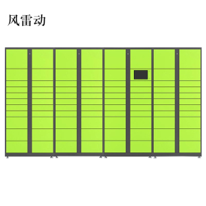 风雷动智能快递柜小区快递自提柜派件柜室外寄存柜信报箱储物柜一主三副87格