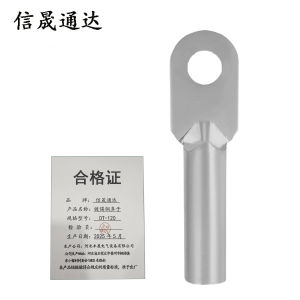 信晟通达 镀锡铜鼻子 DT-120 个