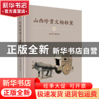 正版 山西珍贵文物档案:13:大同卷 山西省文物局 科学出版社 9787