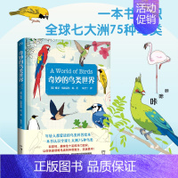 [正版]奇妙的鸟类世界 [英]维基·伍德盖特 著 朱圣兰 译 全球七大洲75种鸟类 插图解说 科普百科 鸟类百科 浦睿