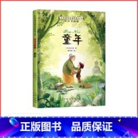 童年 [正版]满29元小学基础阅读配套丛书注音美绘版——童年(单册塑封)