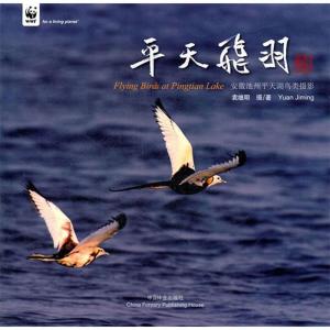 正版新书]平天飞羽:安徽池州平天湖鸟类摄影袁继明978750386425