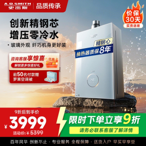 AO史密斯佳尼特[小精钢TJS5]16升增压零冷水燃气热水器 国家补贴 JSQ31-TJS5 安全守护 持久恒温