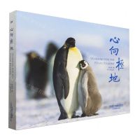 [N]心向极地(精)-9787517913276
