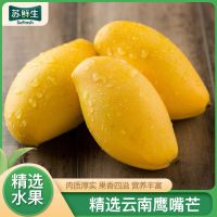 [苏鲜生]云南鹰嘴芒 净重9斤装 中果 单果100-120g 热带水果 新鲜水果 香甜爽口