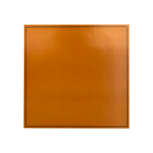 天孚 TF24b-P013-YC2 250MM*250MM标签粘贴标牌1.00卷/张(计价单位:张)黄色