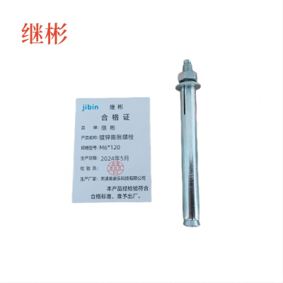 JIBIN/继彬 GB22795-表5 膨胀螺栓 碳钢 镀白锌 M6×120 1个