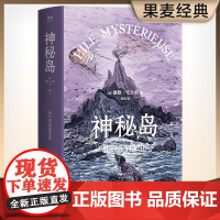 神秘岛 [法] 儒勒·凡尔纳 天津人民出版社