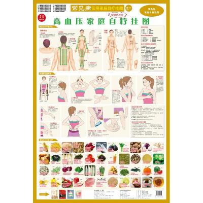 [M]高血压家庭自疗挂图 -9787531722694
