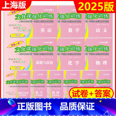 2025中考一模 全套12册[试卷+答案] 初中通用 [正版]2024版二模卷上海中考2023版上海中考一模卷领先一