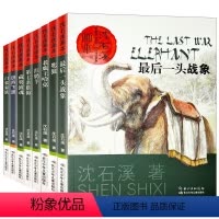沈石溪动物画本(全8册) [正版]沈石溪动物小说全集珍藏版全套8册小学生课外阅读书籍儿童文学经典获奖读物老师三四五六年级