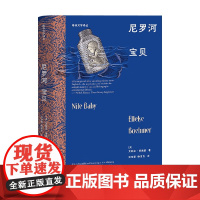 尼罗河宝贝 艾勒克·博埃默 著 外国文学