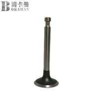 博卡曼进气门BKM177F14711/个