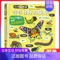 小小探险家第四辑--奇奇怪怪的虫虫 [正版]奇奇怪怪的虫虫小小探险家系列绘本0到3-6岁3d立体书儿童翻翻书低幼动物百科