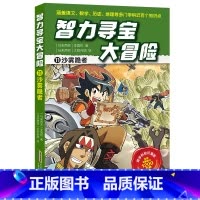 11 沙雾隐者 [正版]智力寻宝大冒险 第二辑全套6册 决战龙穴+天狗妖怪城+黄金守护神+群兽乱斗+沙雾隐者+地球的斗士