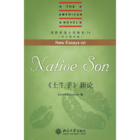 音像剑桥美国小说新论.26-《土生子》新(英)金纳蒙 编