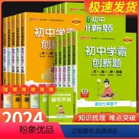 语数英人教3本 七年级下 [正版]2024版初中学霸创新题七八九年级上册下册语文数学英语物理化学生物历史同步练习册练习题