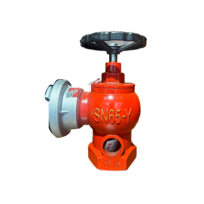 济俊 自救卷盘室内消火栓 SN65-Y DN65 /台