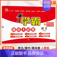 二年级下]语文-人教版 淘精选官方认证丨该商品正版 [正版]2024秋学霸提优大试卷一二三四五六年级上册下册小学