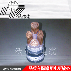 沃尔德电缆 电力电缆 YJV22 0.6/1KV 3*95+1*50
