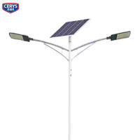 西瑞思 太阳能路灯头 庭院灯80W *2 XRS-SD08 个