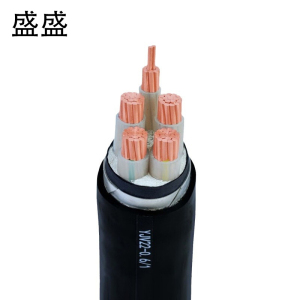 盛盛 铜芯铠装电缆 YJV22 4*95+1*50 米
