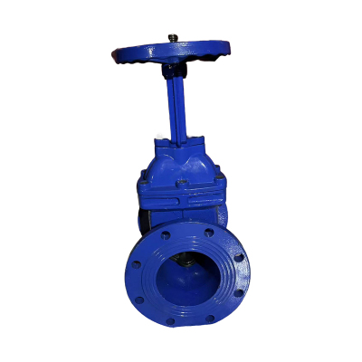 济俊 明杆软密封法兰消防闸阀 DN125 DN125