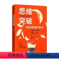 [正版]出版社直发 思维突破 思维突破心法 科学解决问题 码农翻身作者刘欣 创意思维突破 思维跃迁 励志与成功类书籍