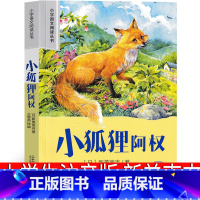 小狐狸阿权 [正版]小狐狸阿权注音版 小狐狸阿全新美南吉三年级四年级书 小孤狸阿权 小学生课外阅读书籍儿童读物7-8-1
