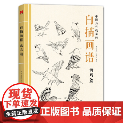 2022新书 白描画谱 禽鸟篇 中国工笔技法画册集书籍入门初自学者零基础教程材成人手绘临摹勾线名家底稿图大全美术绘画