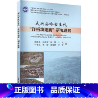 [正版] 大兴安岭地区古生代"洋板块地质"研究进展 杨晓平 等 专业科技 冶金、地质 地质学 中国地质大学出版社
