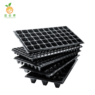 廷豪果 育苗盘 54cm*28cm 200片/箱