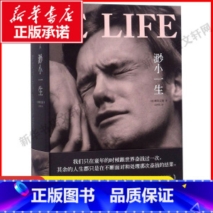 [正版] 渺小一生 柳原汉雅 外国文学美国文学 长篇小说 追风筝的人 生活大爆炸 谢耳朵 A Little Life 林