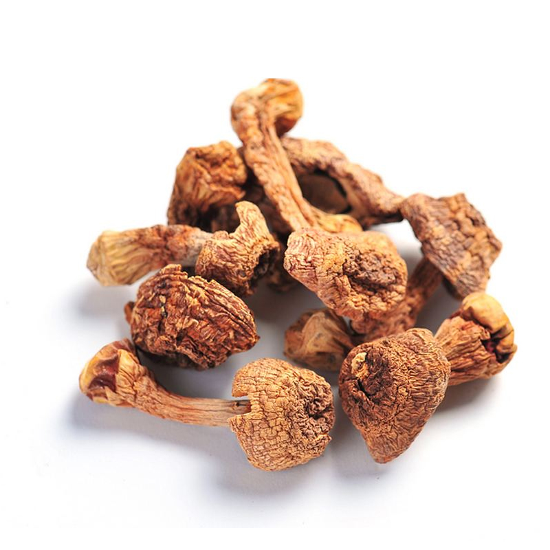 湖北三峡深山屈乡姬松茸55g/罐食用菌甄选蘑菇松茸新货无熏硫湖北特产