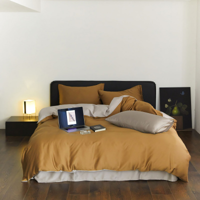 夏季凉感天丝四件套高级感冰丝被套轻奢床单床笠床上用品