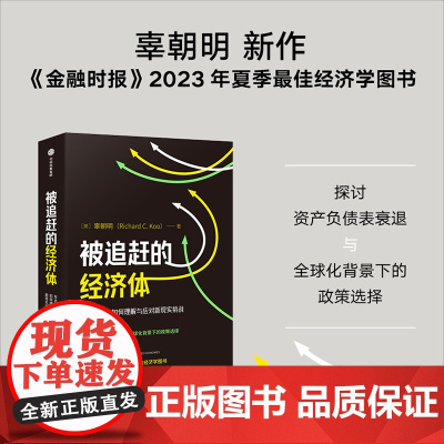 被追赶的经济体 辜朝明新作 探讨资产负债表衰退与全球化背景下的政策选择 金融时报2023年夏季经济学图书 市场经济学书籍