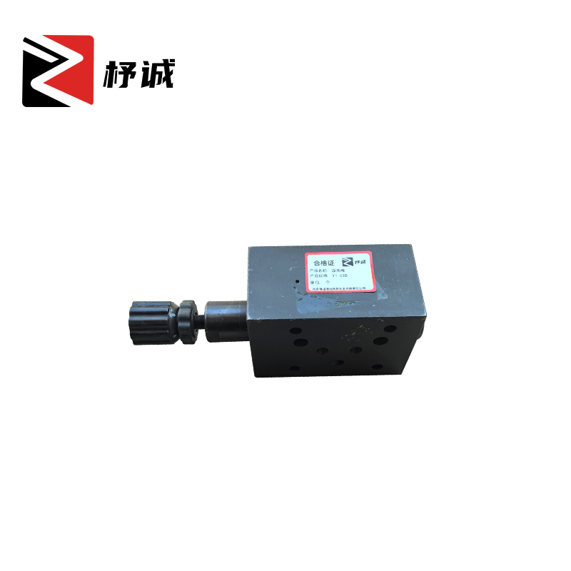 杼诚溢流阀Y1-63B/个