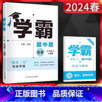 化学 人教版 九年级下 [正版]2025春 学霸题中题化学九年级下人教版9年级下册化学人教版同步初中必刷题练习册学霸课时