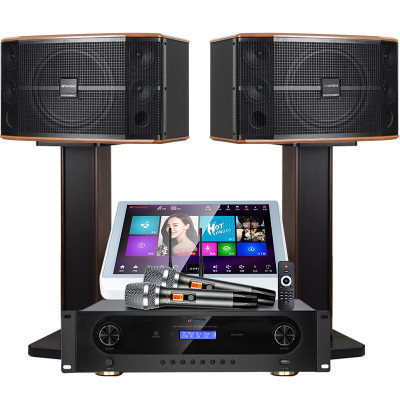 山水(SANSUI)FK-101 家用电视客厅音响套装 大音箱 10吋三分频10单音响+功放+话筒+500G点歌机